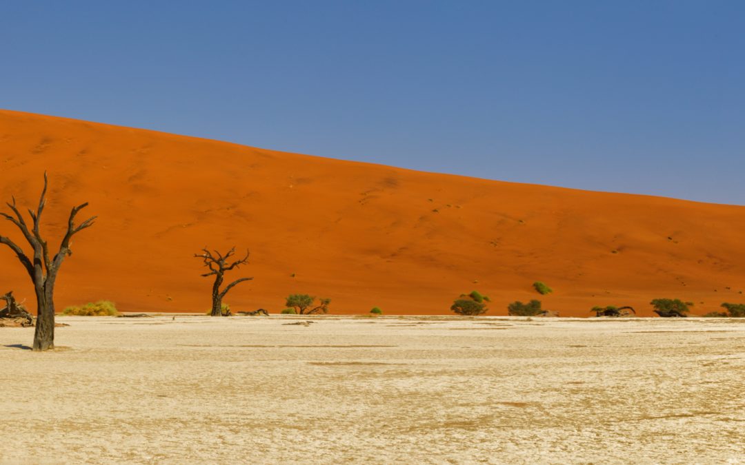 Top 5 Sehenswürdigkeiten Namibias